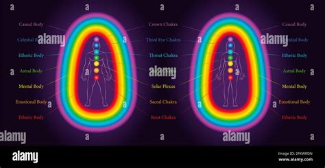 Aura Layers And Coherent Chakras Of A Male And A Female Body Rainbow