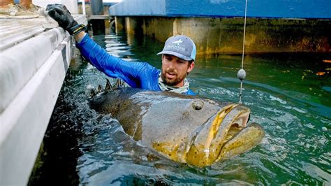 What Is The Biggest Fish In The World The Fishing Times Fishing