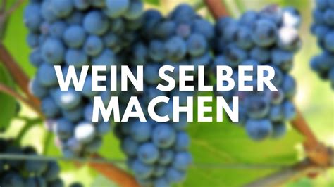 Wein Aus Trauben Selber Herstellen Anleitung