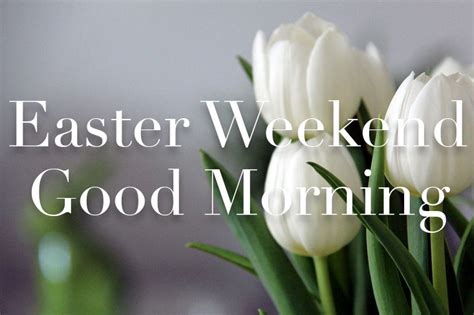 Easter Weekend Good Morning Pictures Photos And Images For Facebook