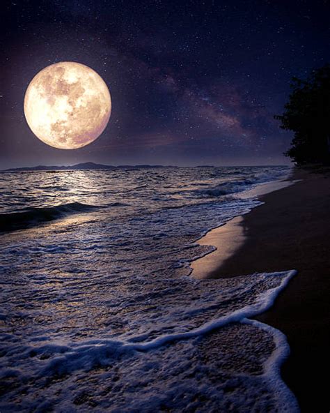 Best Fantasy Moonlight Beach Stock Photos Pictures And Royalty Free