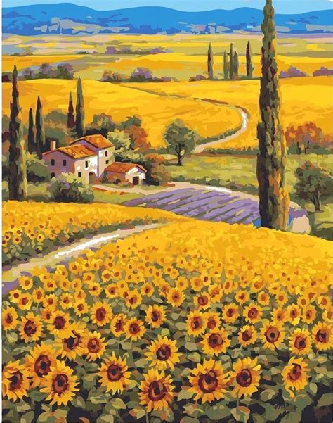 Sunflower Field In Tuscany Official Paint By Numbers Australia