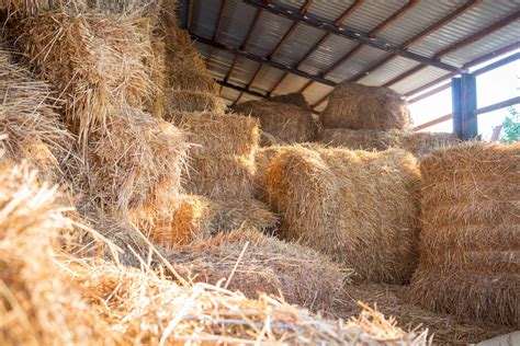 7 Rules For Proper Hay Storage