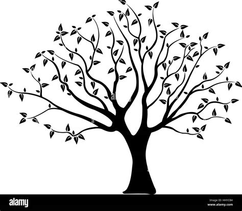 Silhouette Of A Tree Isolated Stock Vector Image And Art Alamy