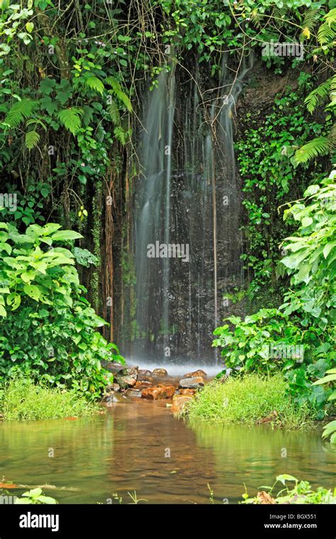 Water Waterfall Kibale Park Uganda Hi Res Stock Photography And Images