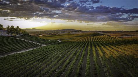 Usa Today 10 Best Readers Choice Nominates Temecula Valley Wine Country For Best Wine Region