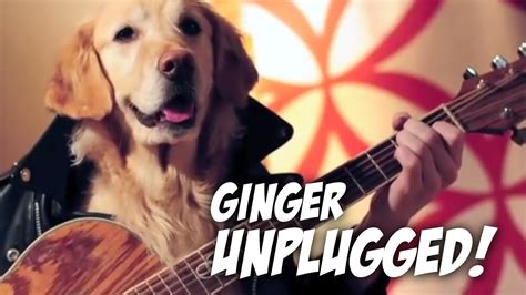 Ginger Unplugged Youtube