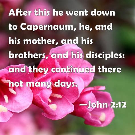 John 212 After This He Went Down To Capernaum He And His Mother And