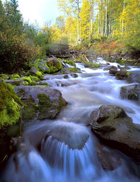 Fotos Gratis Paisaje árbol Naturaleza Bosque Cascada Arroyo