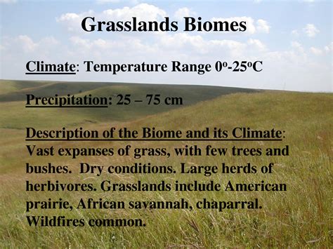 Grasslands Biomes Grassland Biome Biomes Grassland