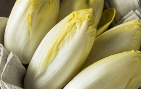 What Does Endive Taste Like Exploring The Flavor