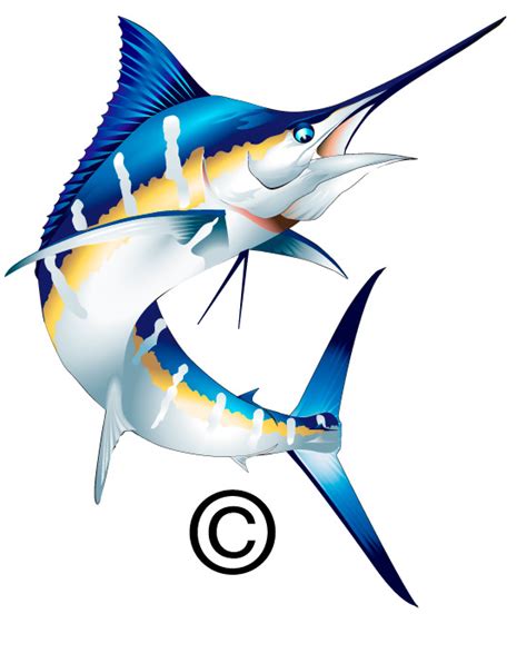 Clipart Blue Marlin Fish Clip Art Library