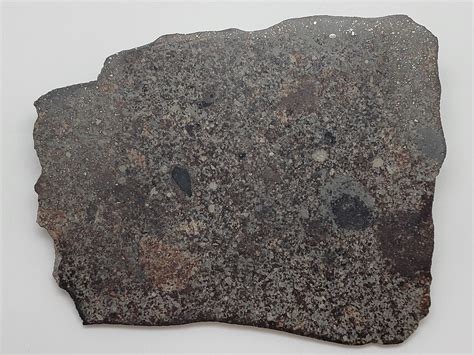 Nwa 869 Sliced And Polished Chondrite Meteorite 145g Star Hunter
