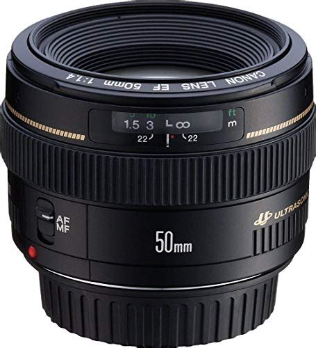 20 Best Lenses For Canon Eos 77d Dslrcamerasearch