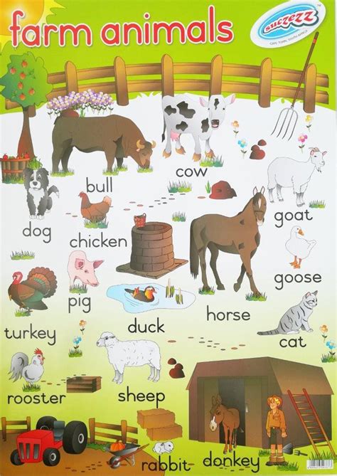Farm Animals Laminated Poster 680mm X 480mm Educational Toys Online
