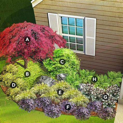 Elegant, colorful japanese maple trees are so easy to grow they deserve a special place in every garden. Image result for perrenials for shade zone 7 | Japanese ...