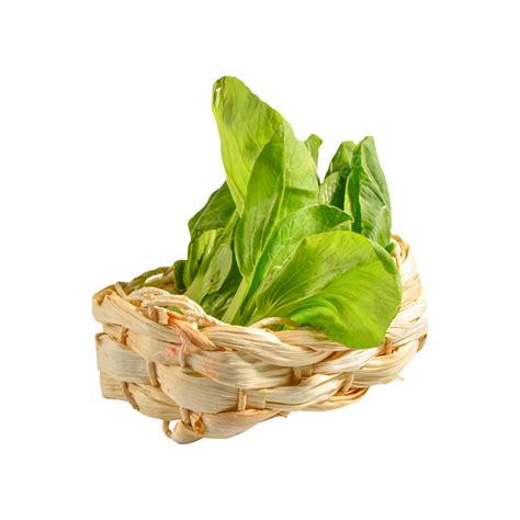 A Basket Of Nutritious Green Vegetables Nutritious A Basket Fresh