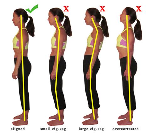 10 Ejercicios Para Tener Una Postura Correcta En 2017 Corrige Tu Images