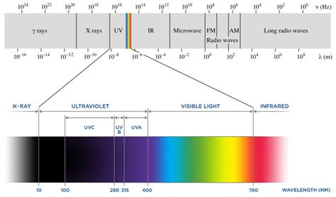 Was Ist Ultraviolettes Licht Definition Wirkung And Fakten Surya Home