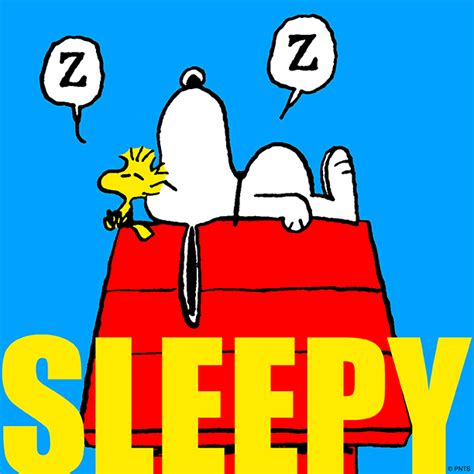 Sleepy Snoopy And Woodstock Sleeping Together On Top Of Snoopys