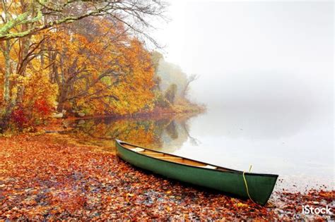 Breathtaking Autumn Images And Why They Work Creative Bloq