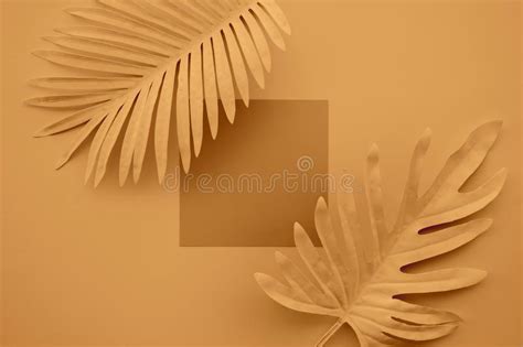 Collection Of Pastel Tropical Leavesfoliage Plant With Copy Space