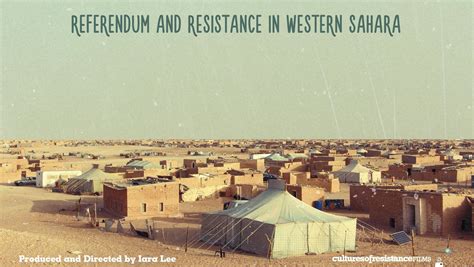 Gewaltfreier Widerstand In Der Westsahara Medientipp
