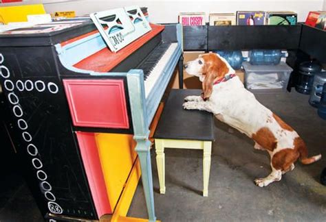 Odie Poses By A Play Your City Piano Painted By Brian Buzzella At