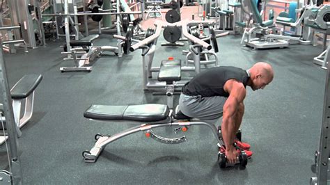 Or, you could also take a seated position to. Seated Dumbbell Rear Delt Raise - YouTube