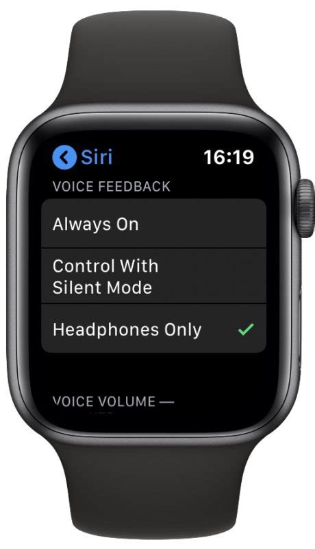 How To Enable And Use Raise To Speak On Apple Watch