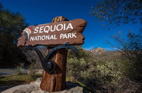 Things To Do In Sequoia National Park Travel Caffeine