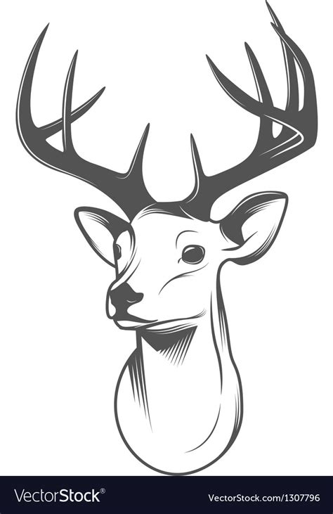 Download Deer head isolated on white background Royalty Free Vector