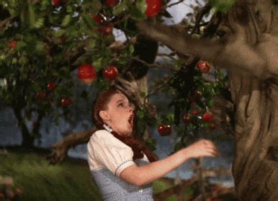 Mean Apple Tree GIFs Get The Best GIF On GIPHY