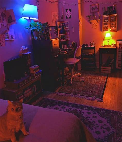 Super Small Studio Apartment With Cozy Lighting Plus A Furry Friend