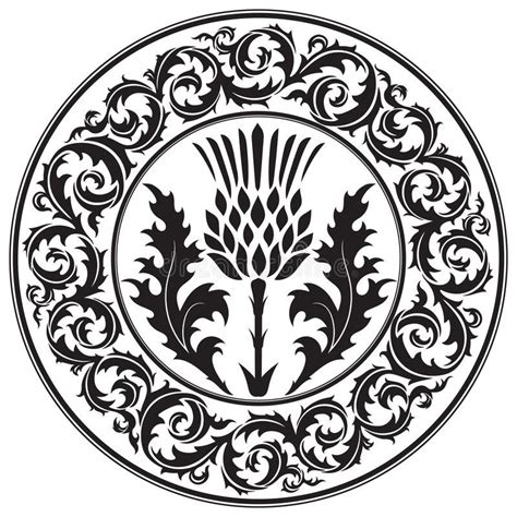 Thistle Flower And Ornament Round Leaf Thistle The Symbol Of Scotland