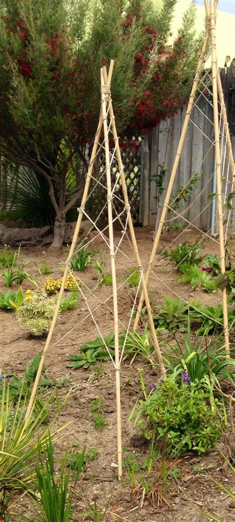 If you'd like to see the whole process in video form, see below. Pin on Gardens