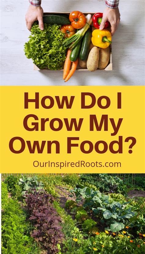 How Do I Grow My Own Food Tips For The Budding Homesteader Food Garden Organic Gardening