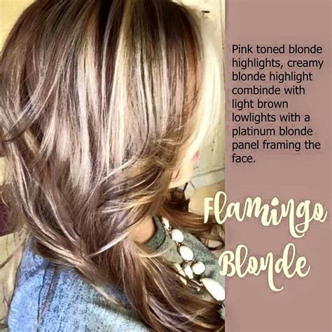Check out our flamingo youtuber selection for the very best in unique or custom, handmade pieces from our shops. flamingo blonde | Hair inspiration color, Dark blonde hair ...