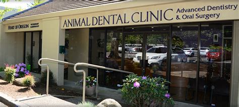 Animal Dental Clinic Pet Dentistry And Oral Surgery Lake Oswego