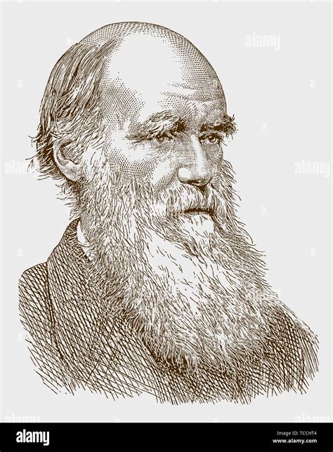 Charles Darwin Imágenes Vectoriales De Stock Alamy
