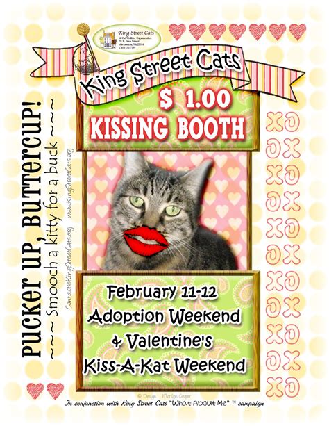 We specialize in kitties that traditional shelters cannot take in: King Street Cats: King Street Cats Kissing Booth This Weekend!