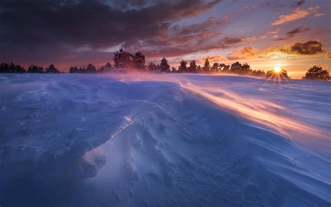 Winter Snow Cold Sunset Wallpaper Nature And Landscape Wallpaper