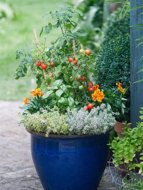 17 Best Images About Container Gardens On Pinterest