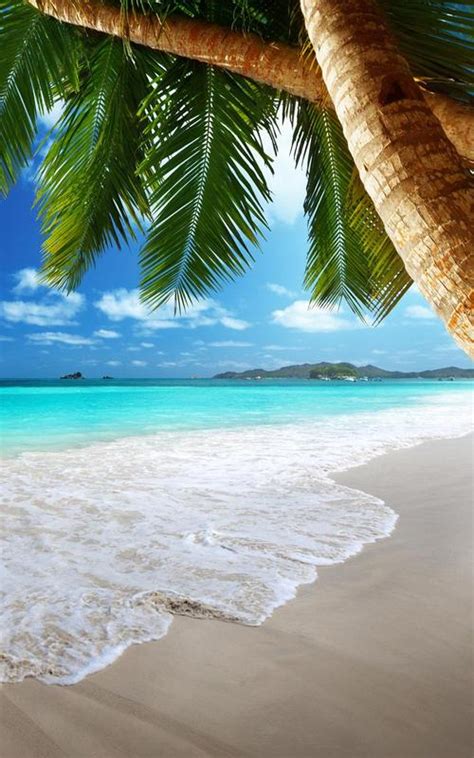 Tropical Beach Live Wallpaper For Android Apk Download