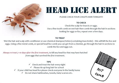 St Marys Rc Primary School Head Lice Information