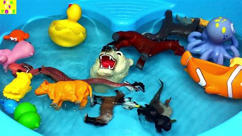 Learn Sea Animal Shark Toys For Kids Zoo Animals Names Education Video