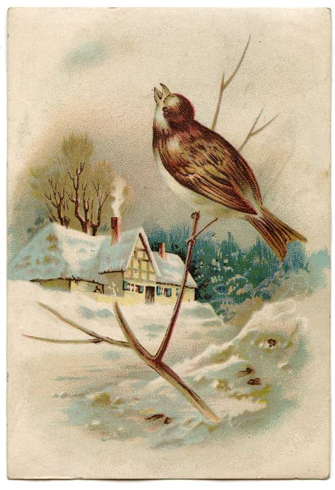 Winter Cottage Scene Image With Bird The Graphics Fairy