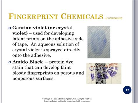 Development Of Latent Prints Ppt Download