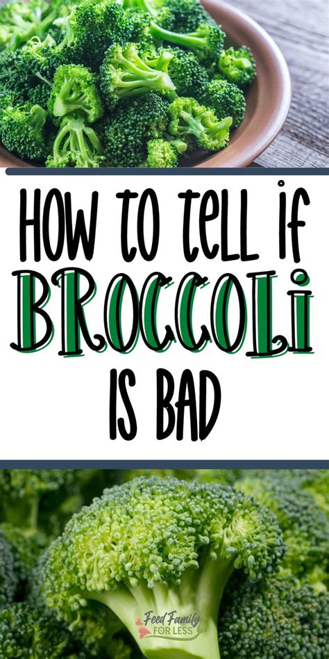 How To Tell If Broccoli Has Gone Bad In 2021 Broccoli Cooking