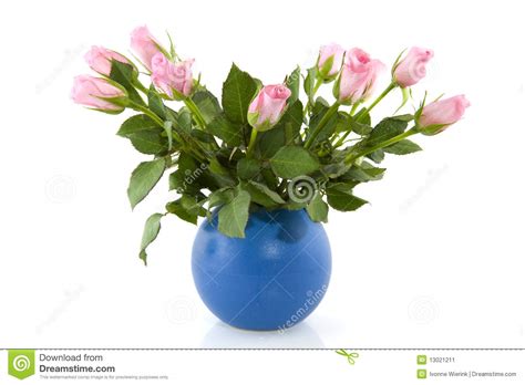 Pink Roses In Blue Vase Stock Image Image Of Isolated 13021211